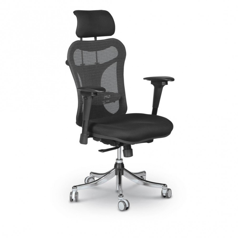 ergonomic and customizable office chair